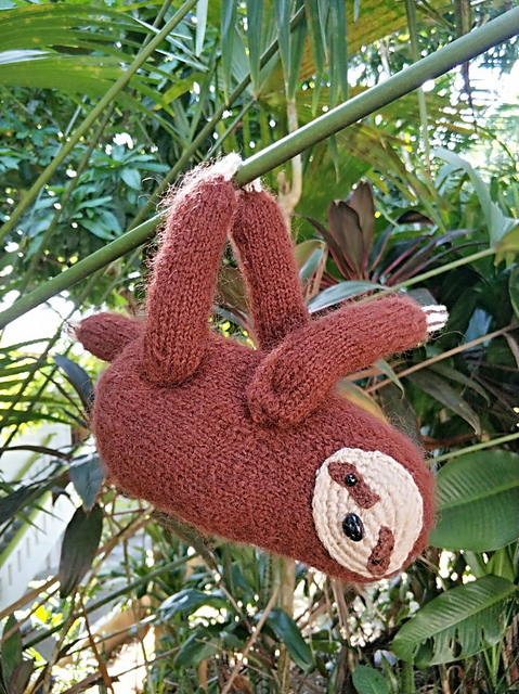 Mango the Sloth