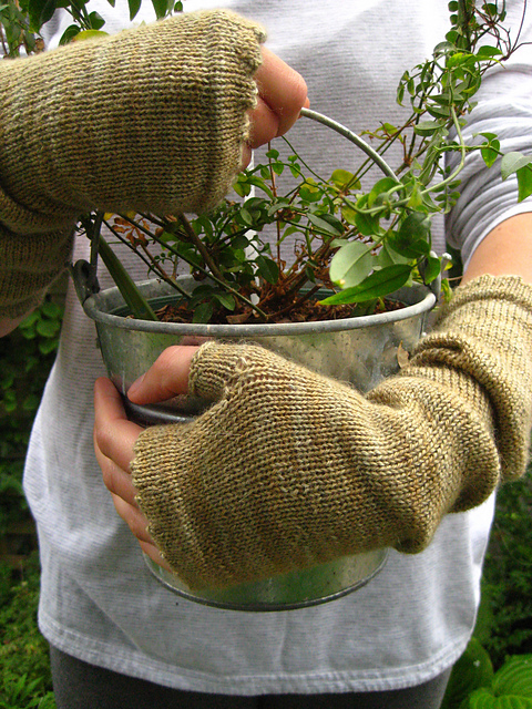 Picot Fingerless Mitts