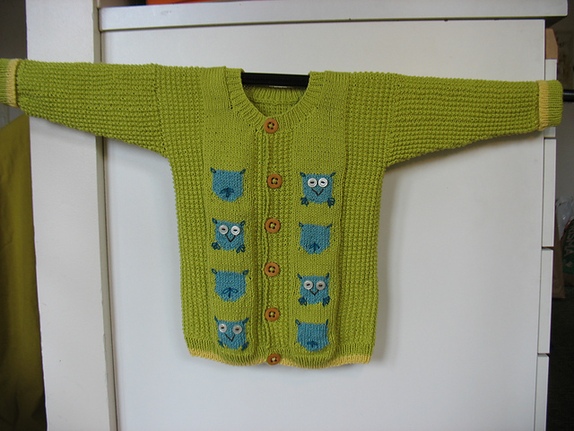 Baby's Owl jacket