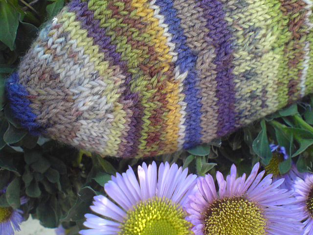 6392D/ E Socken mit Zopfbandspitze