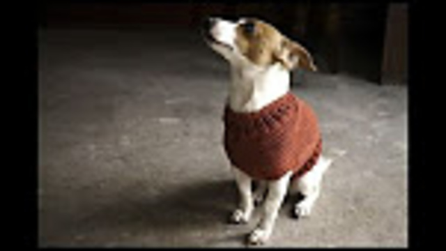 The Juno Jumper