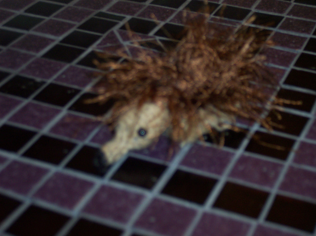 Hedgehog