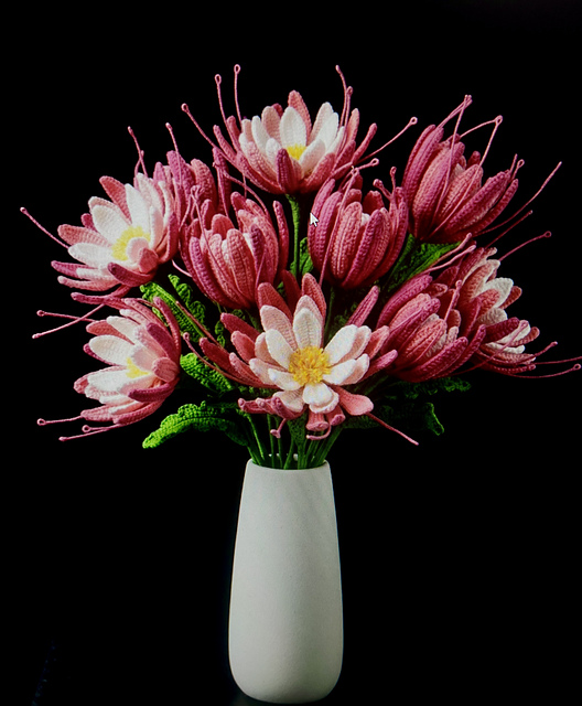 Queen of night flower