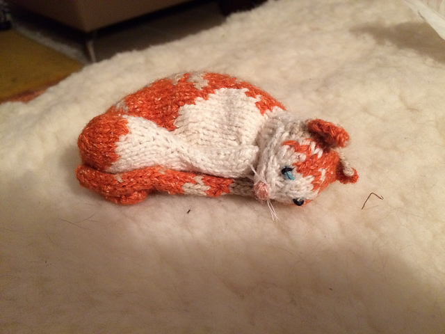 Tabby Curled Up