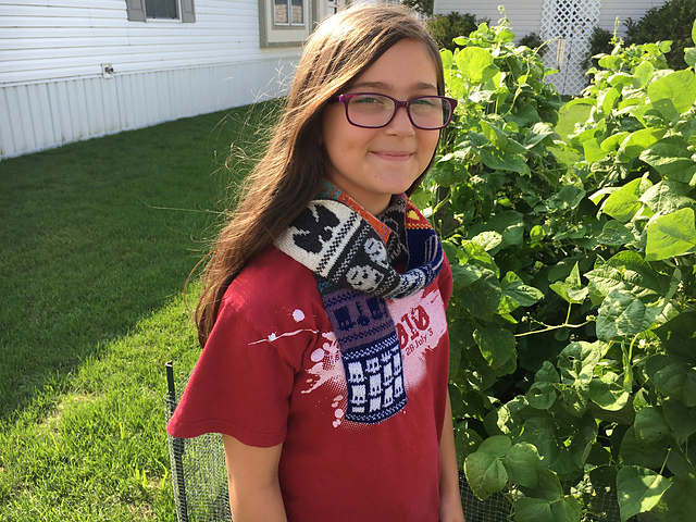 Doctor Who Portfolio Scarf