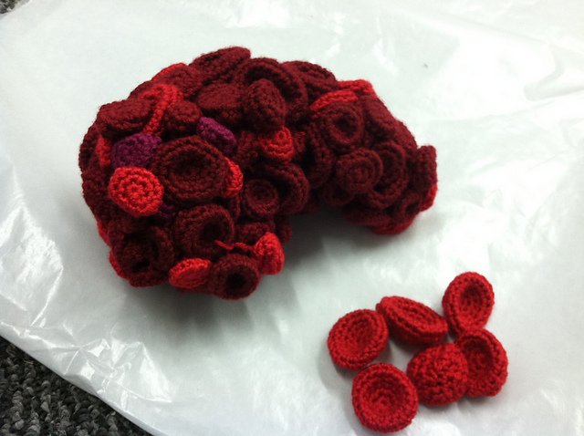 Blood Cell/Grape/Cherry Tomato/Raspberry