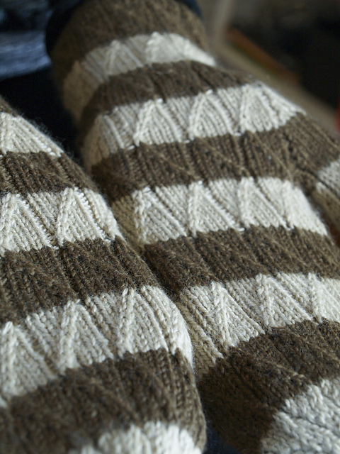 Hard Cider Sazerac Mittens