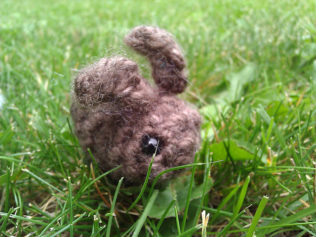 Baby Bunnies