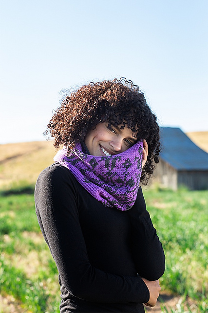 Windflower Colorwork Cowl