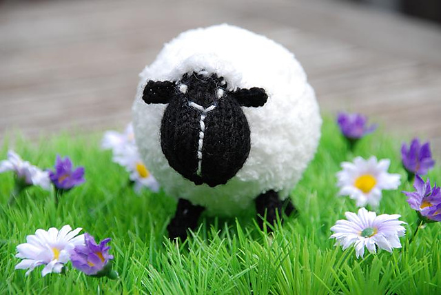 Farmyard Frolics, Part One