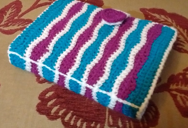 Crochet Hook Case