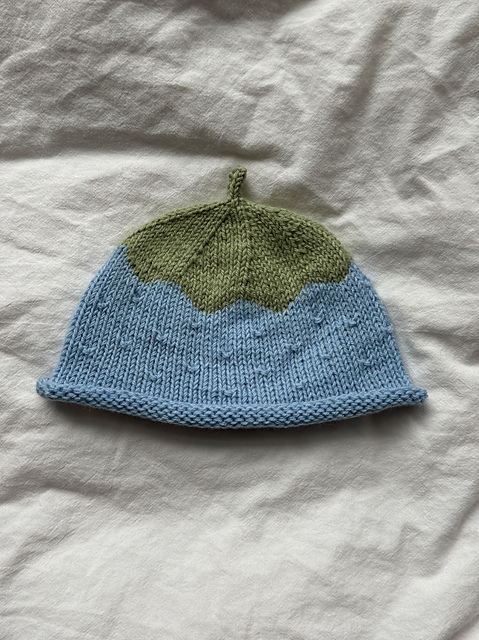 Blueberry hat
