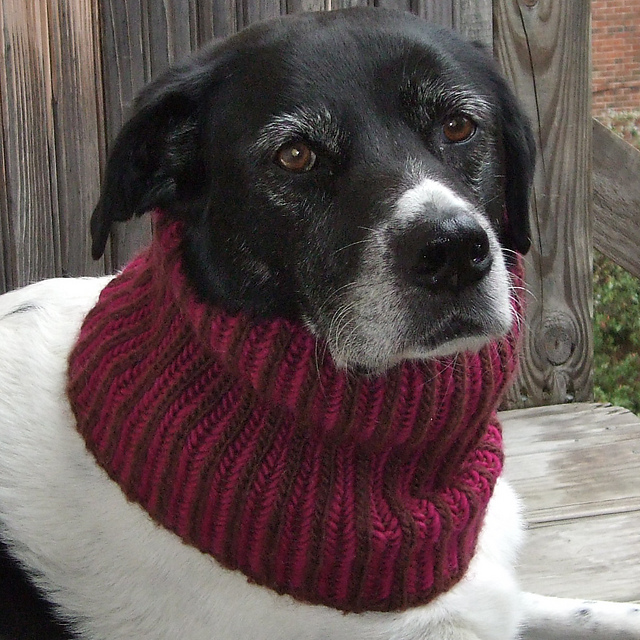 Ravelry: Brioche Neck Warmer pattern by Wendy Easton