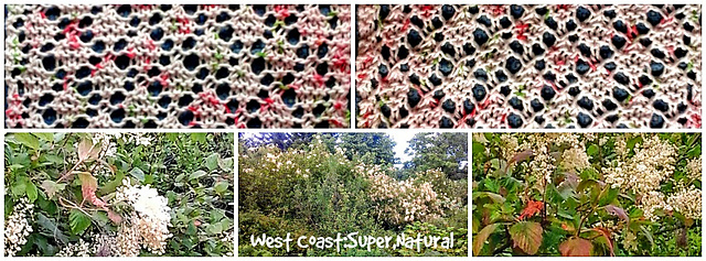 Ocean Spray Cloth