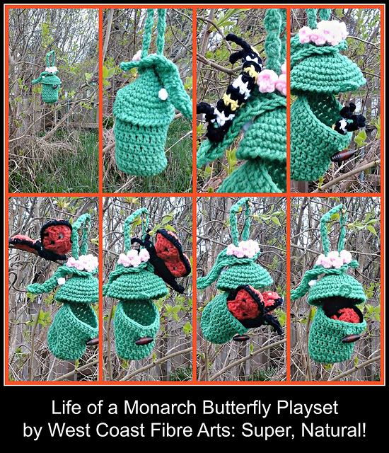 Life of a Monarch Butterfly Playset