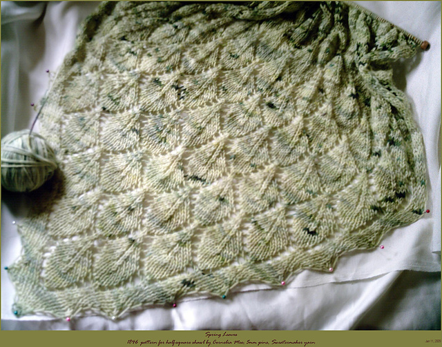 Leaf Pattern for Half-Square Shawl