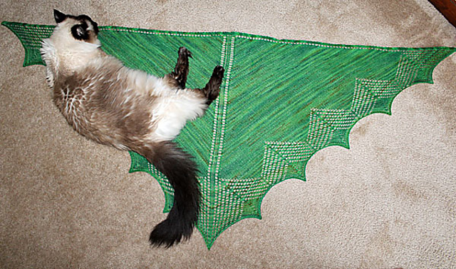 Reticulated Shawl