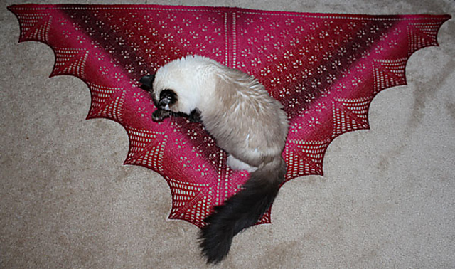 Tracy's Shawl