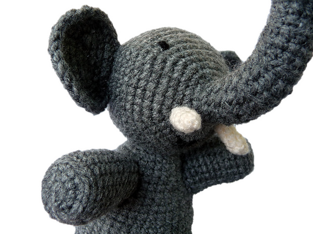 Trumpy the African Elephant
