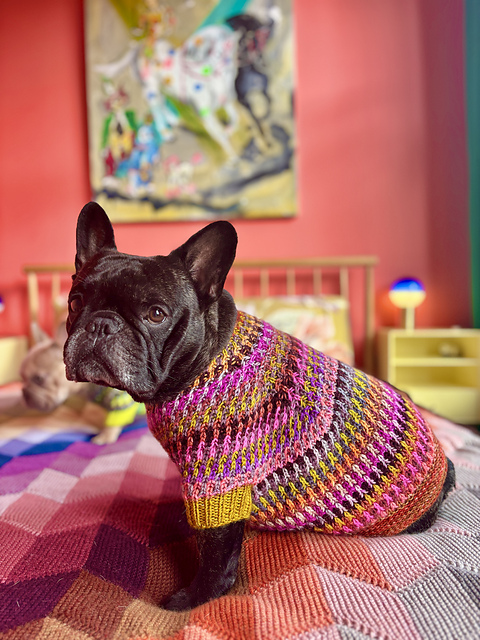 Ravelry: Syncopated Dog Sweater pattern by Stephen West