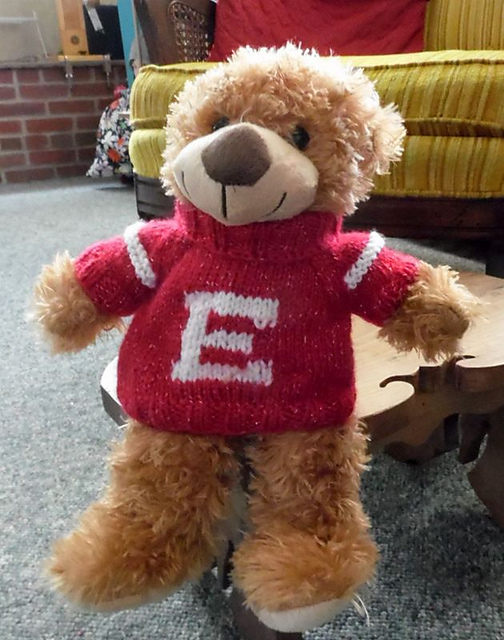 Teddy Bear Fan Pullover--E