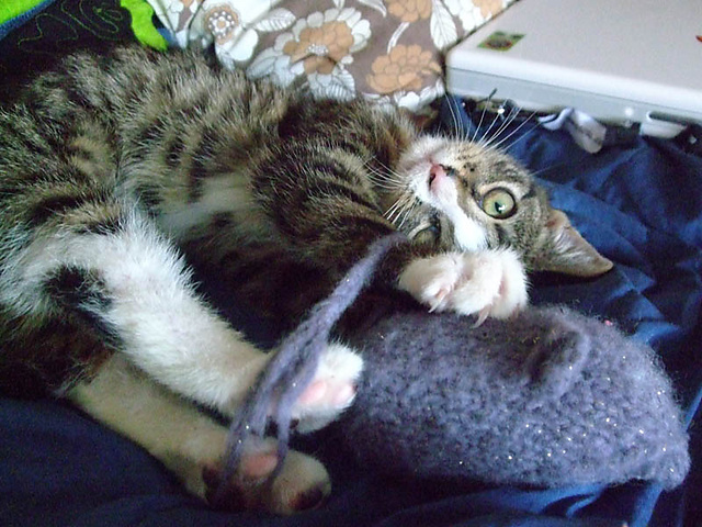 Catnip Mouse Toy