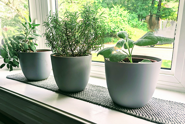 Seed Stitch Plant Runner