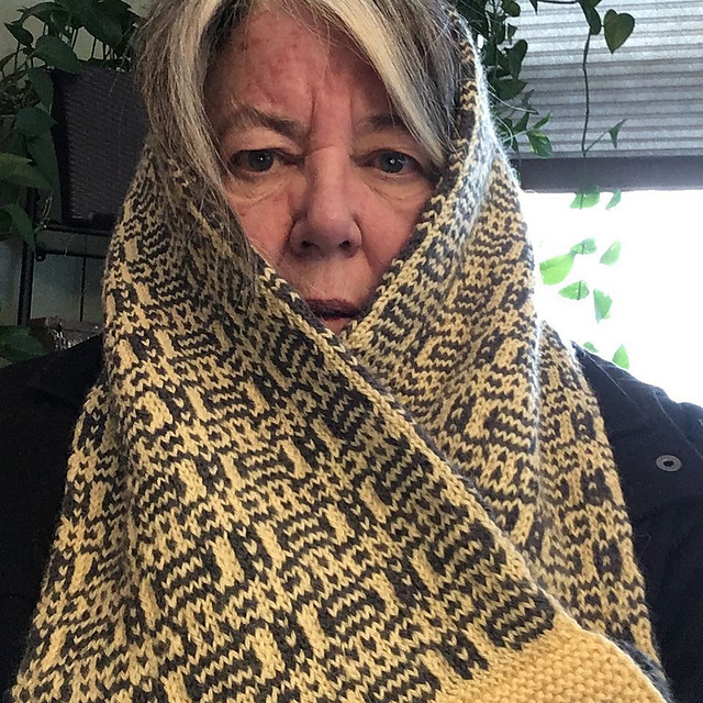 Mirrors cowl