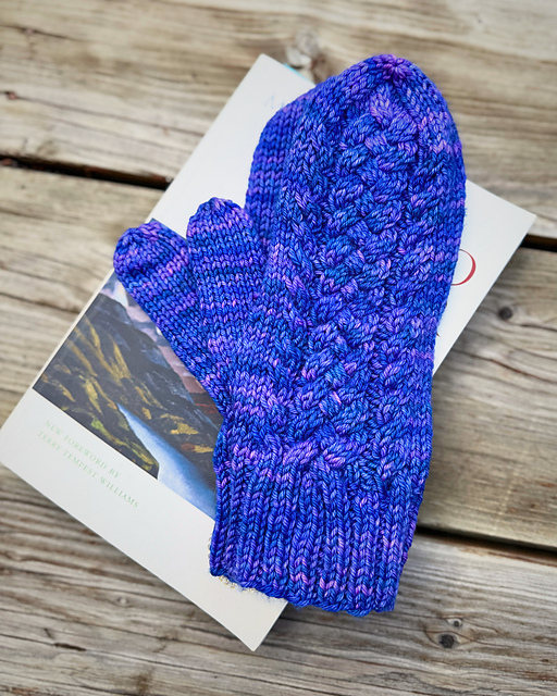 Braided River Mittens