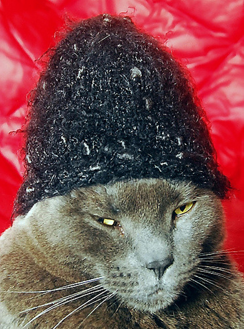 International Cat Hat: United Kingdom