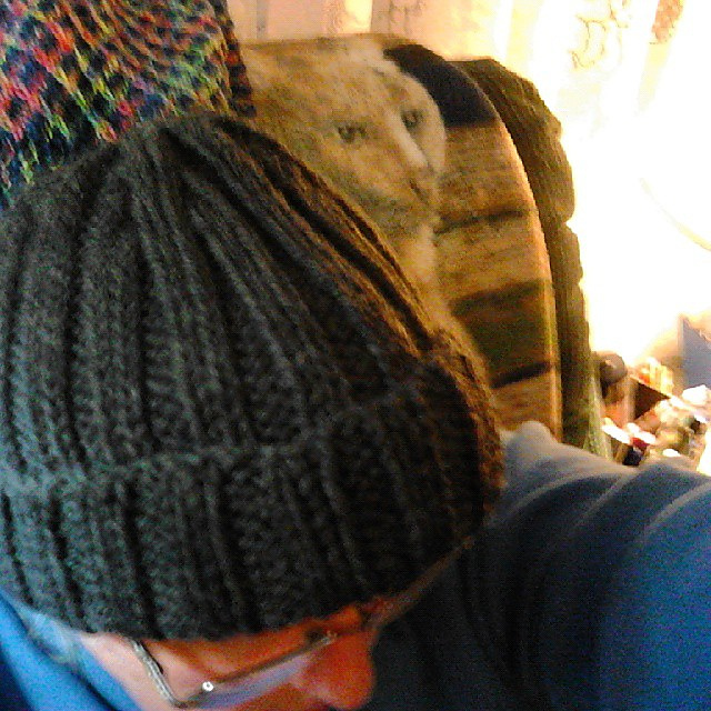 Herman Hat