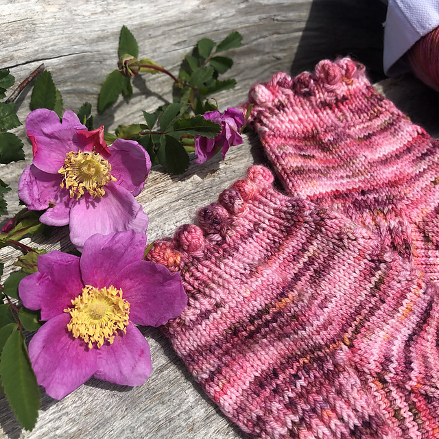 Nootka Roses