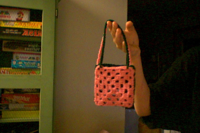 2 Color Purse
