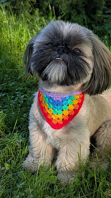 Rainbow bandana