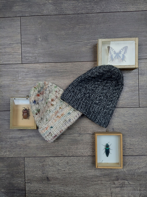 Silent Beanie