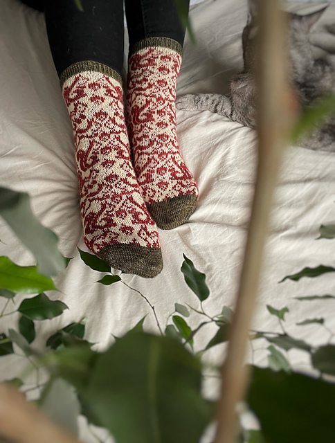 Squirrel Love Socks