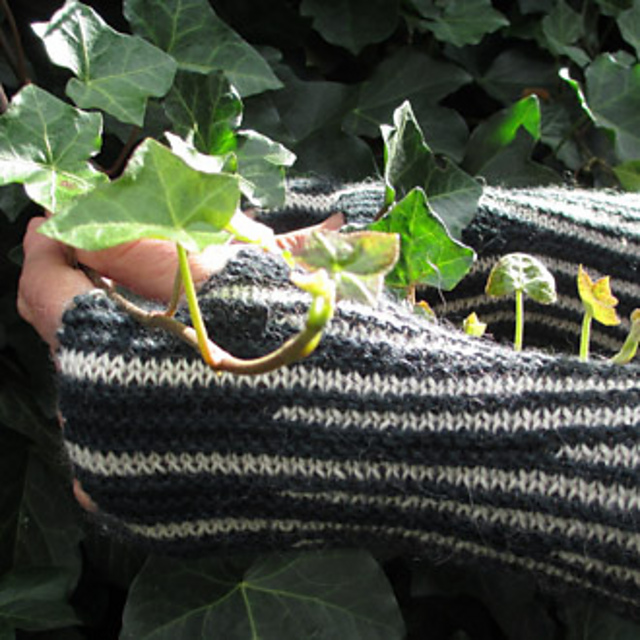 Quagga Mitts