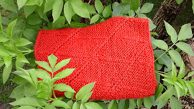 Holunder Cowl