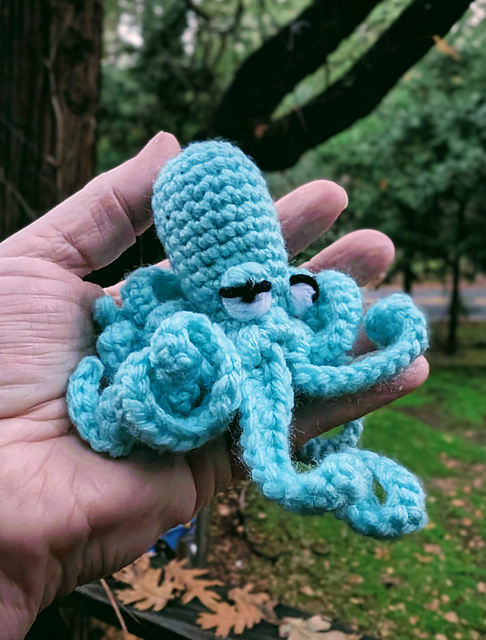 Gams the Octopus