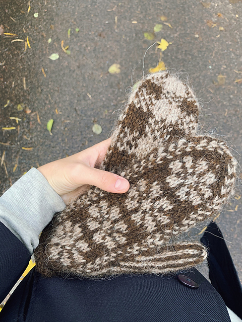Split Personality Mittens