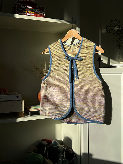 Lonely Leftovers Vest