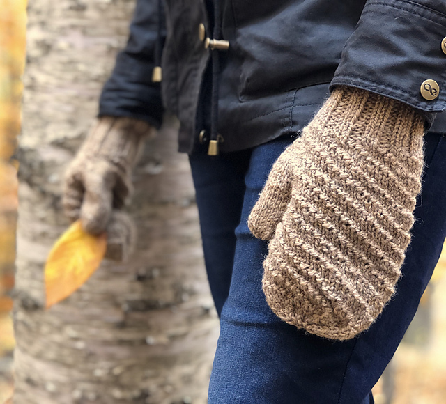 Cinnamon Twist Mittens