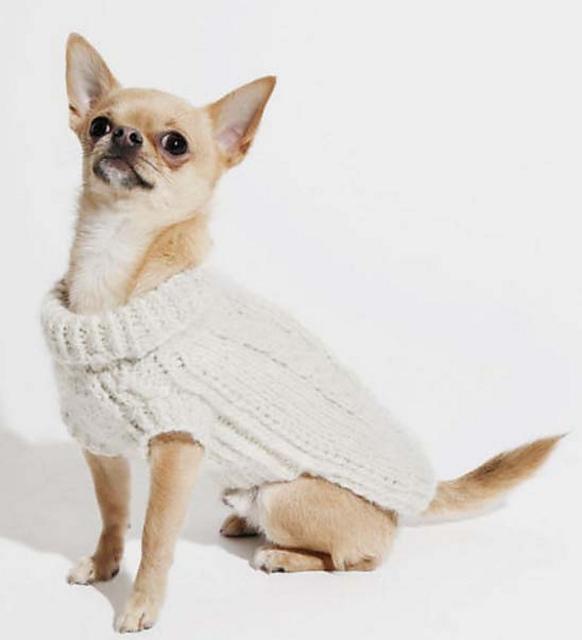 SONNY DOG COAT