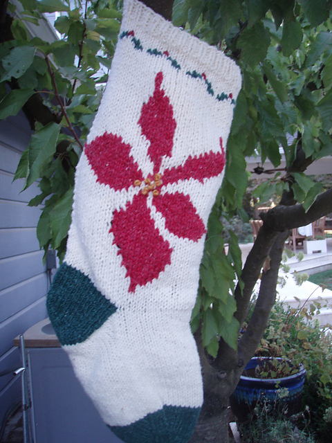 Knit Kit in a Box Poinsettia Stocking