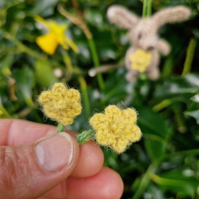 Tiny Daffodil