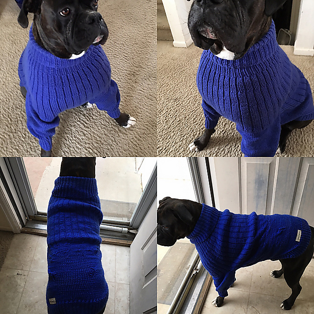 Ribbed Yoke Dog Sweater giant
