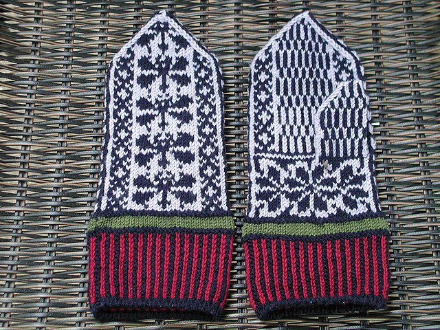 Dragonfly Mittens