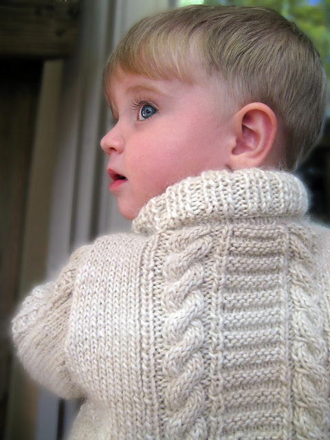 Ellinger Shawl Neck Cardigan