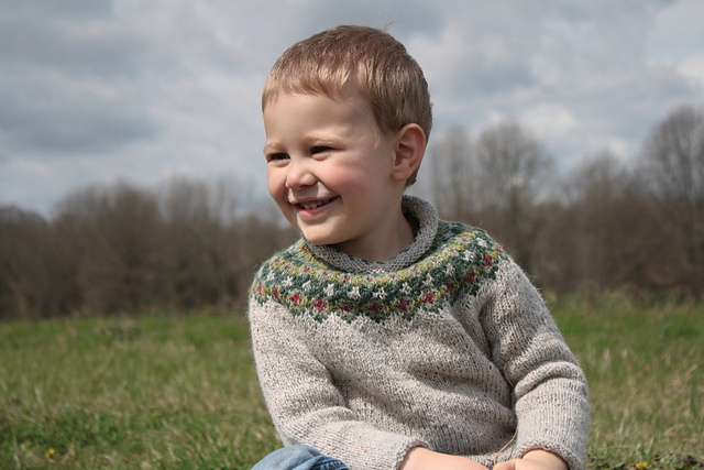 Stillwater Pond Pullover