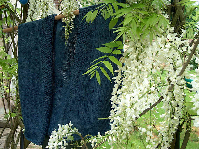 Gilet court - petites manches